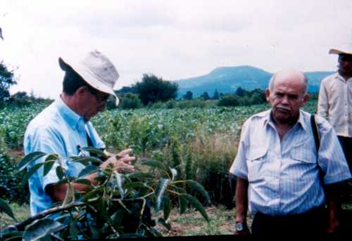 Plant Collectors