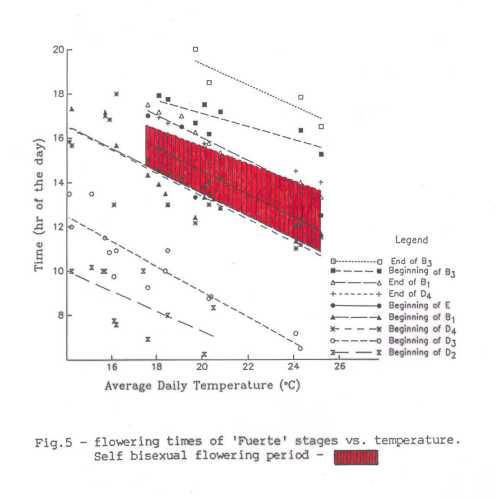 The influence of temperature on the timing of the flowering stages of Fuerte