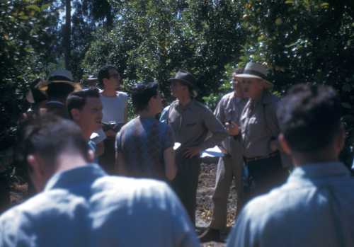 UCLA Subtropical Horticulture