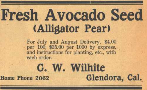 Ad for the Wilhite Nursery