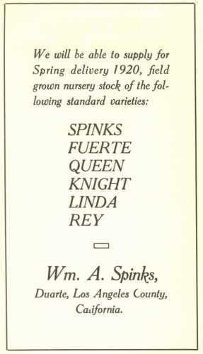 Ad for Wm. A. Spinks Nursery